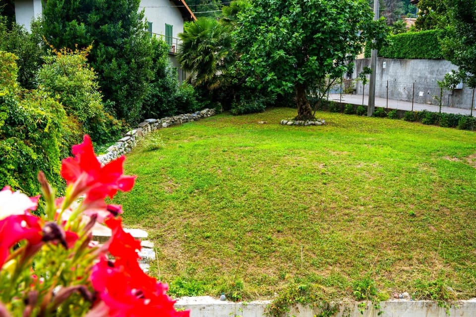 Natural landscape, Garden, Garden view