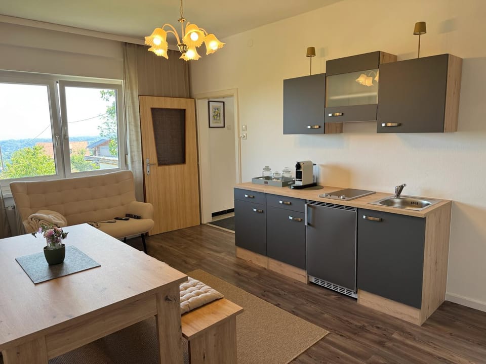 Kitchen or kitchenette, Dining area, stove