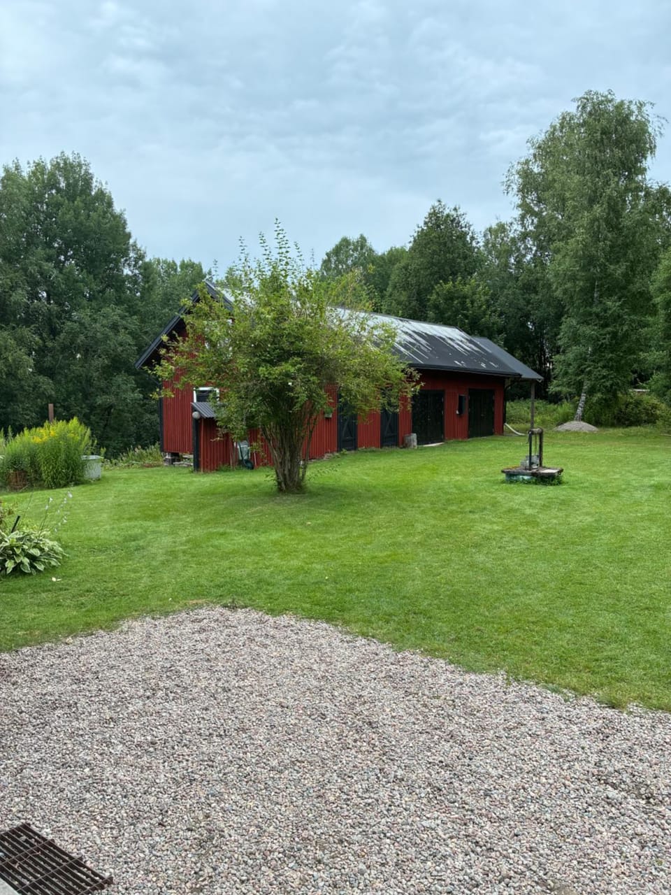 Garden view