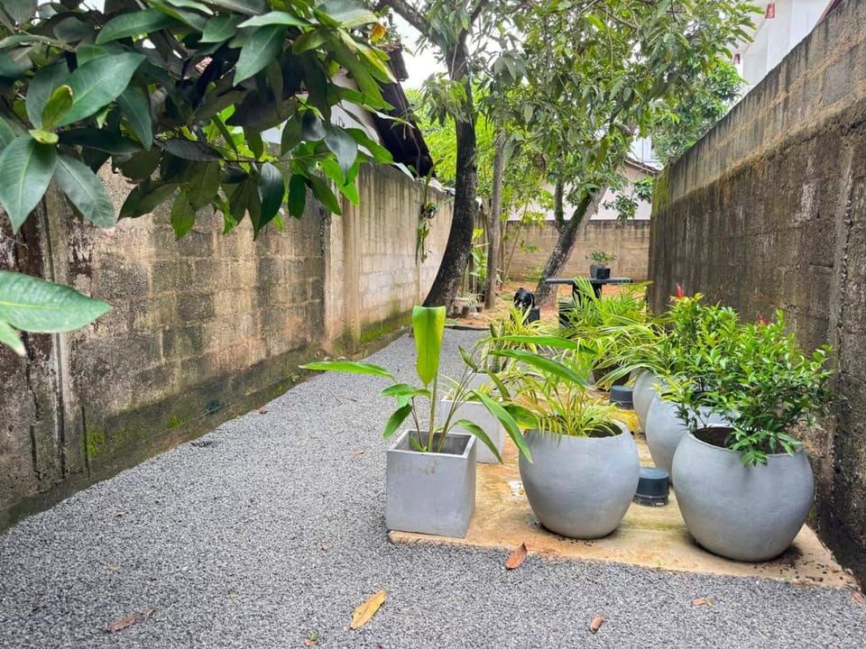 Property building, Garden