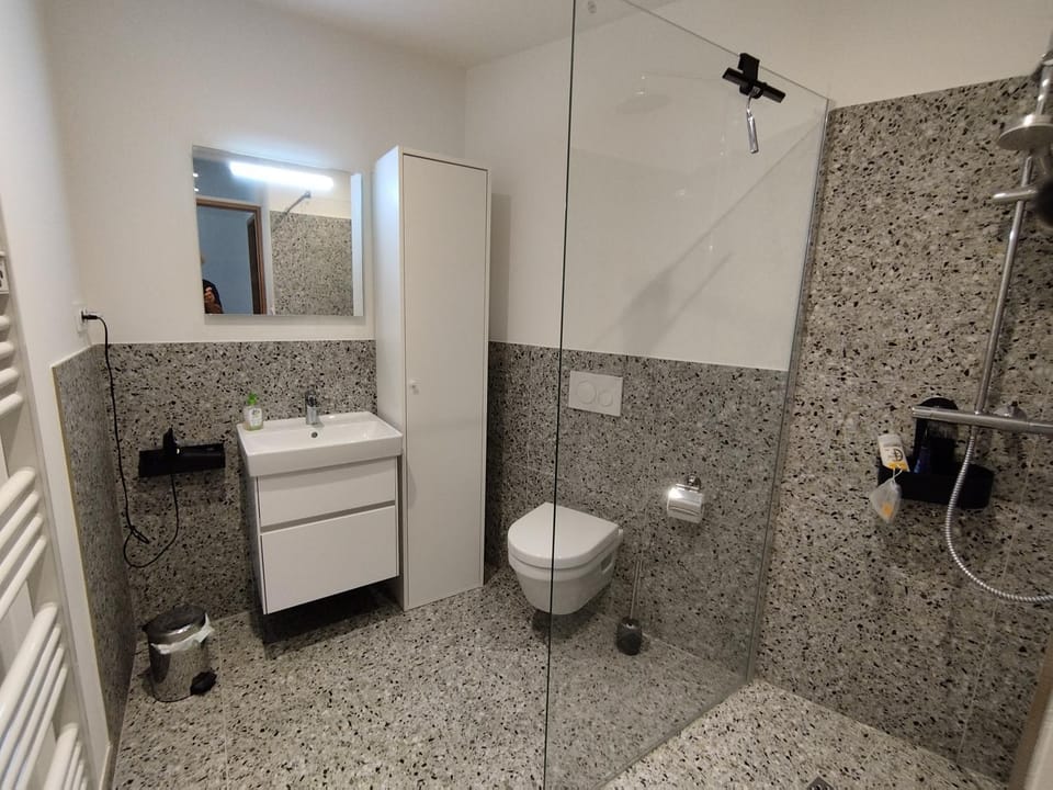 Shower, Toilet, Bathroom, towels