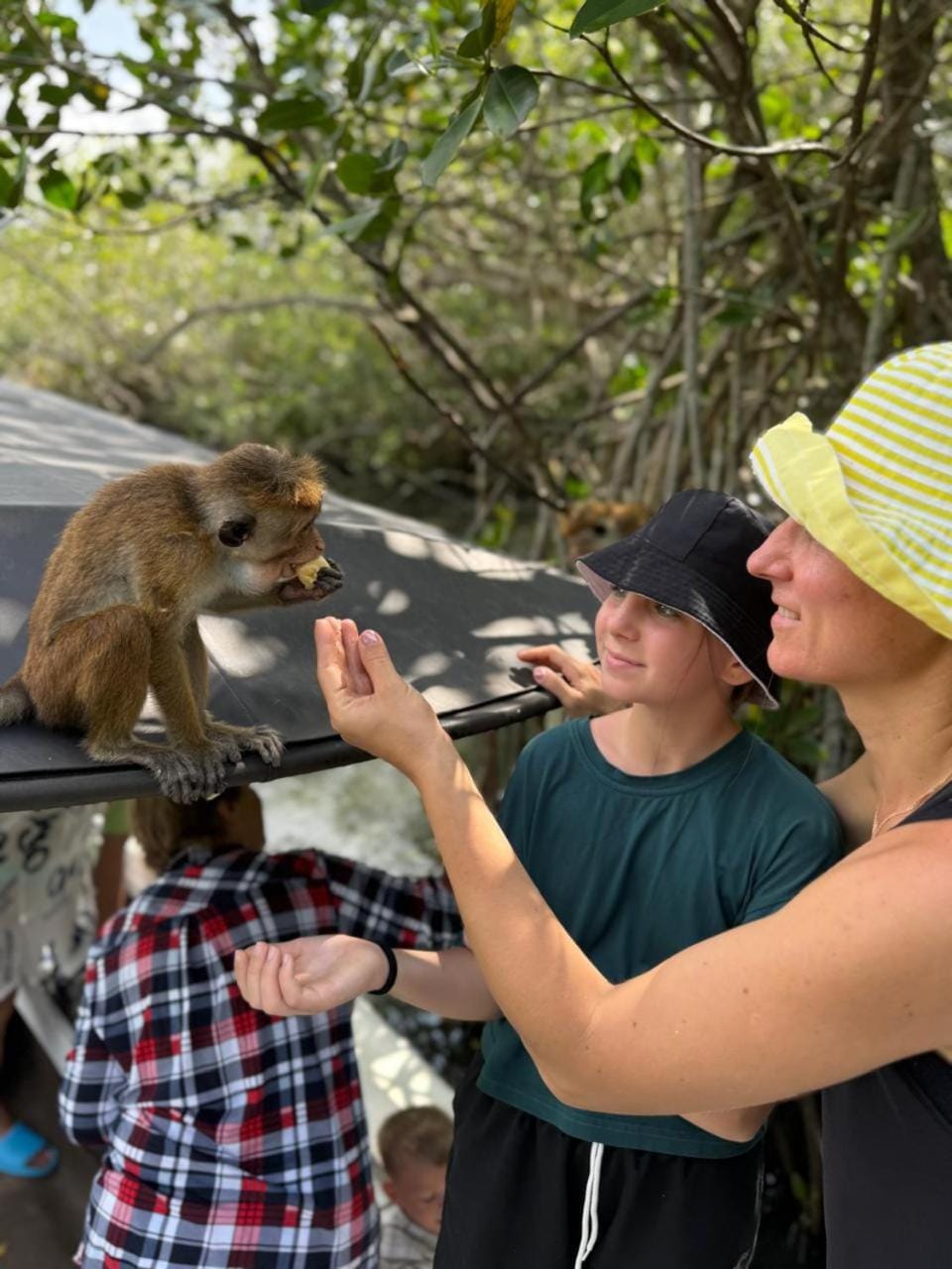 Day, People, Natural landscape, Animals, group of guests
