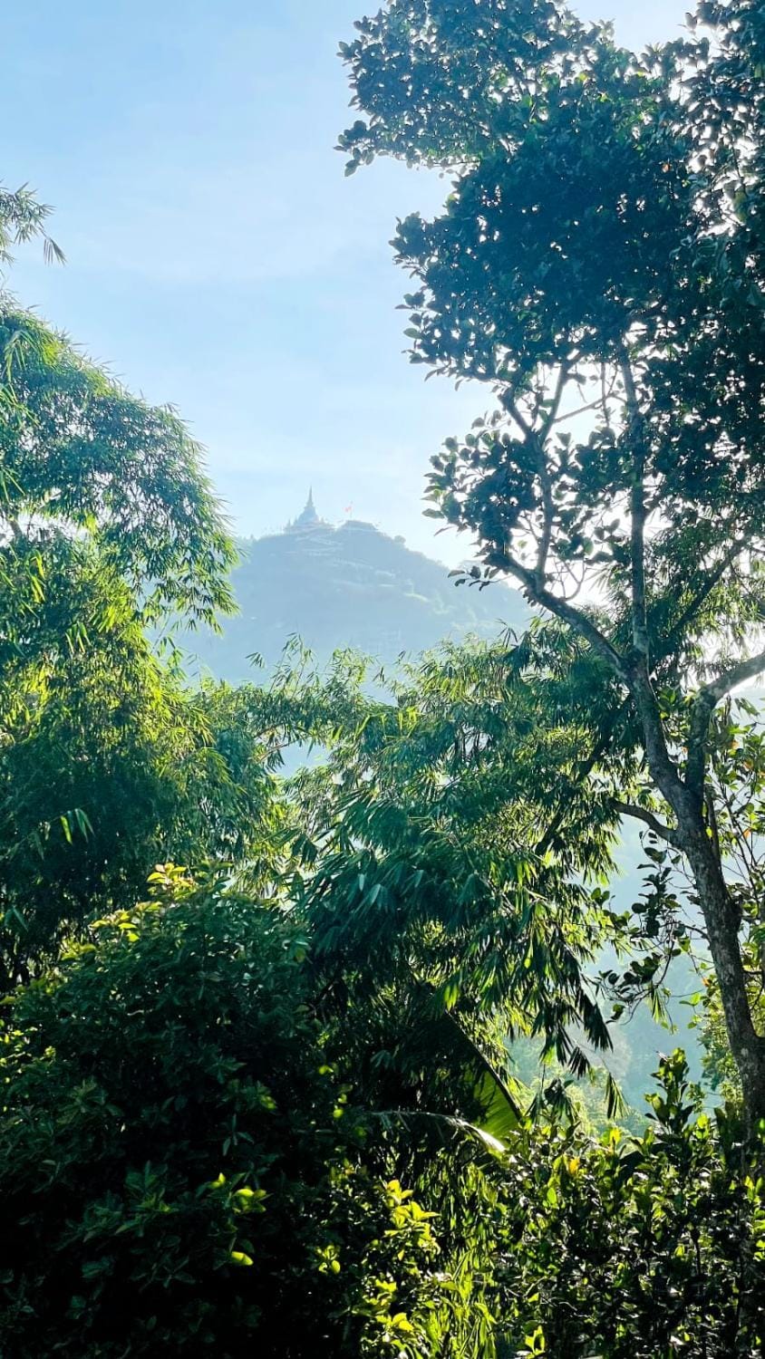 Mountain view
