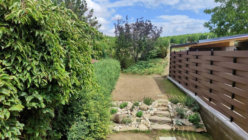 Garden, Garden, Garden view
