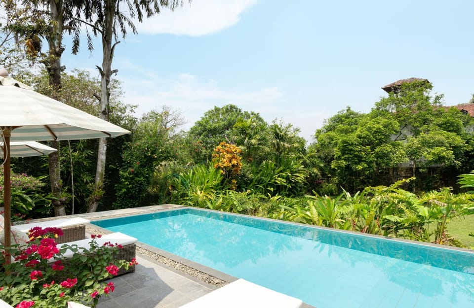 Garden, Swimming pool