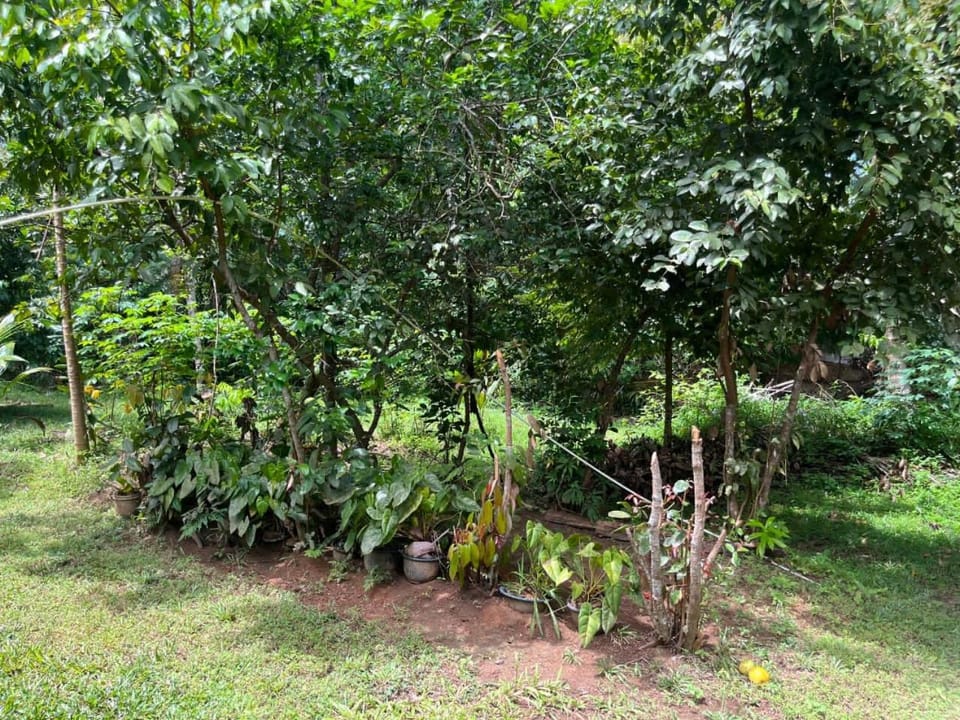 Sameera Guest House Midigama Apartment in Southern Province