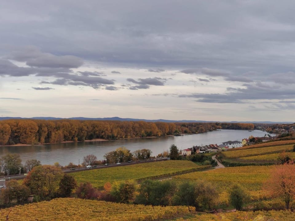 Natural landscape, River view