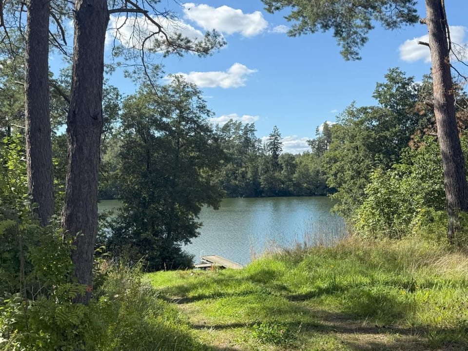 Natural landscape, Lake view