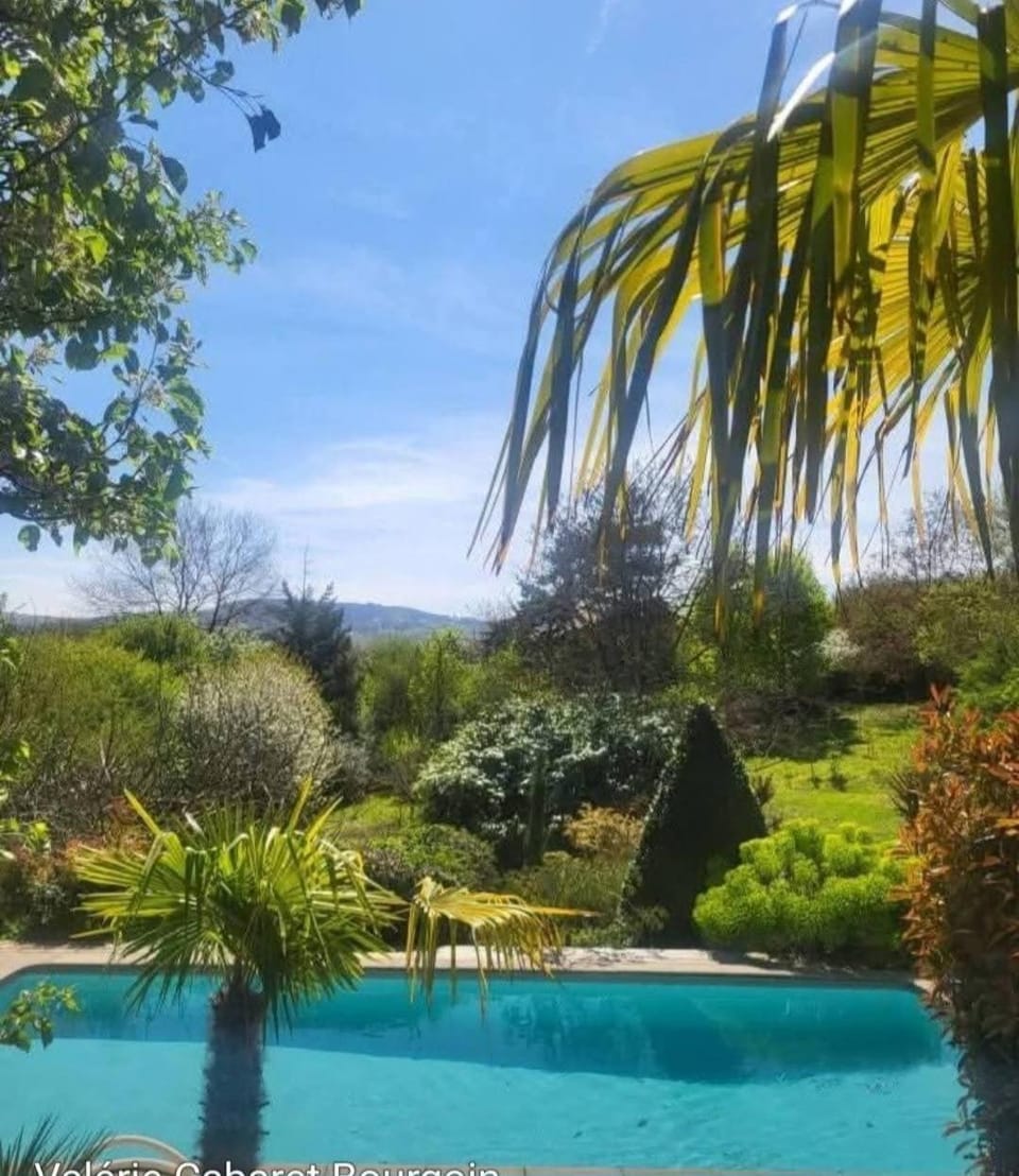 Spring, Day, Natural landscape, Garden, Garden view, Swimming pool