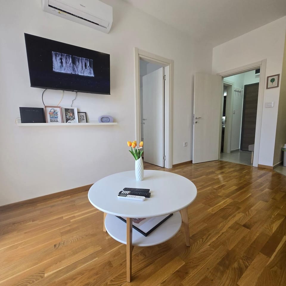 Pelusa 10 Apartment in Podgorica