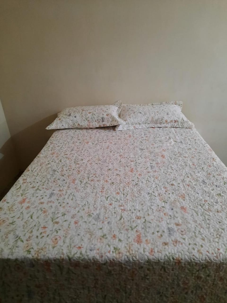 comfortable apartment, AP 03 Apartment in State of Mato Grosso, Brazil