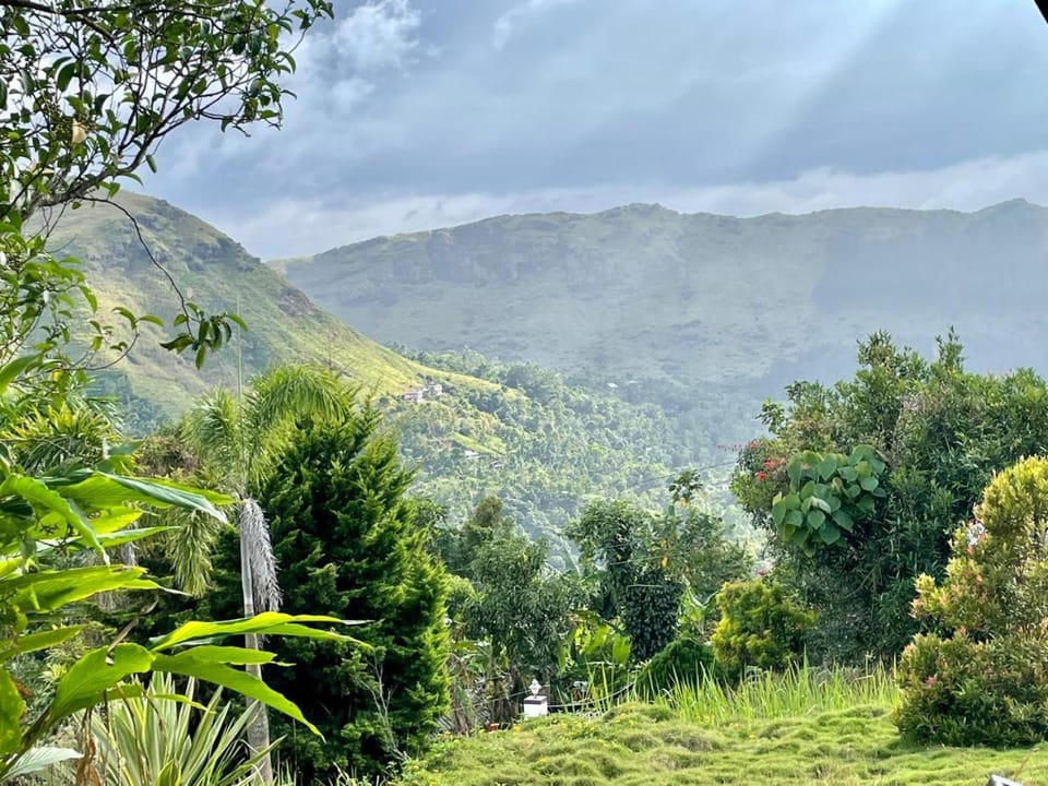 Mountain view