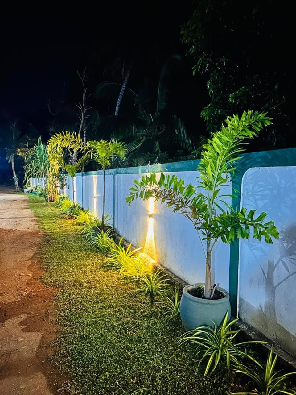 Night, Garden, Garden, Garden view