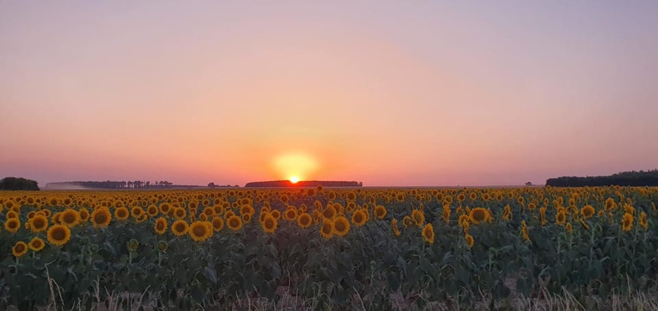 Natural landscape, Sunset