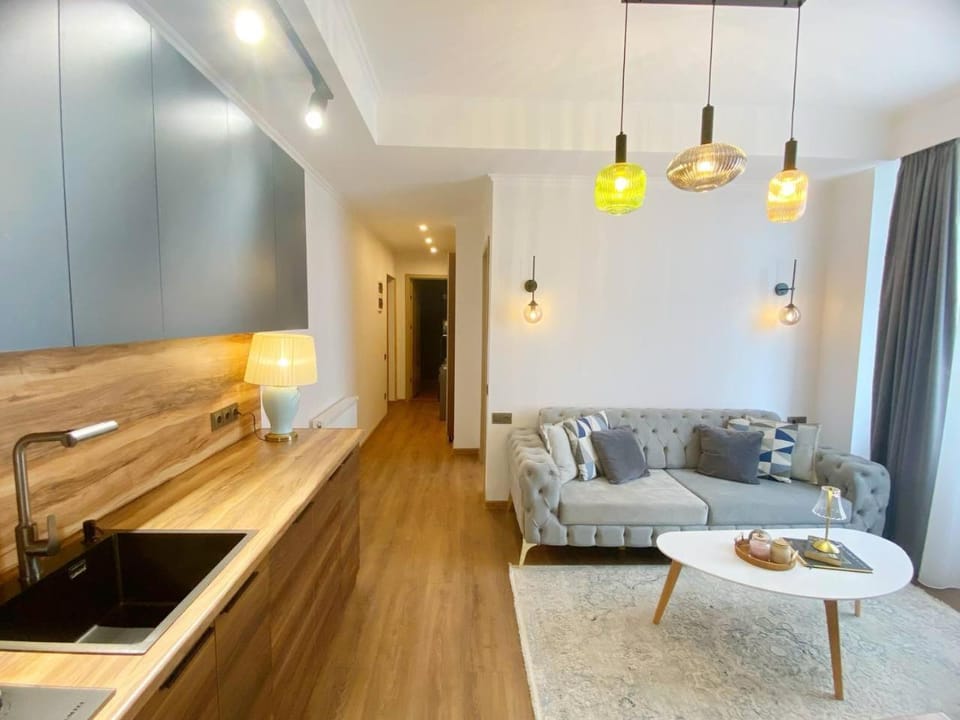 Kitchen or kitchenette, Living room, Seating area, Dining area
