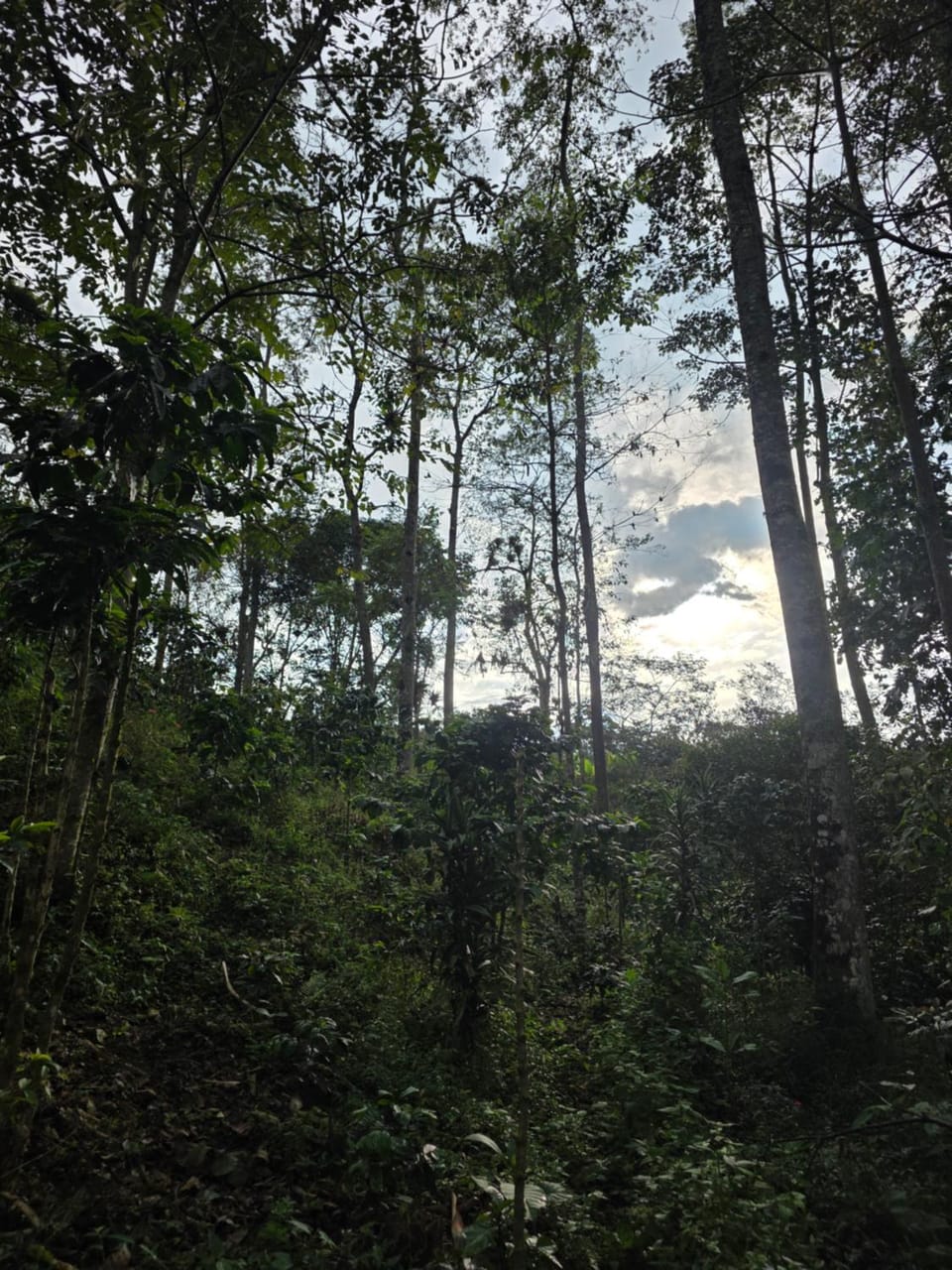 Natural landscape