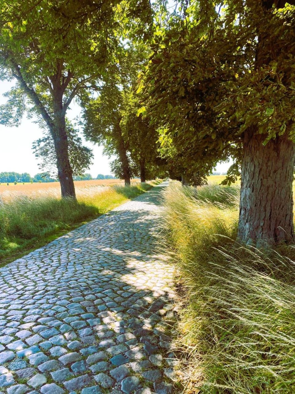 Ferienwohnung - Mustin Apartment in Mecklenburg-Vorpommern, Germany