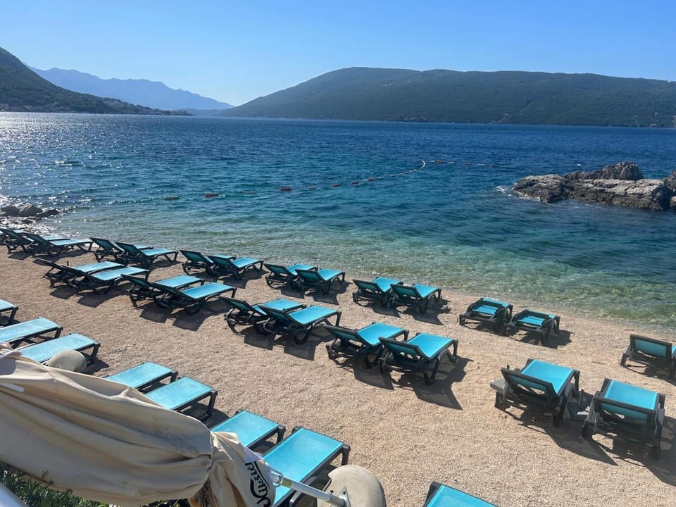 Casa Mimosa Apartment in Montenegro