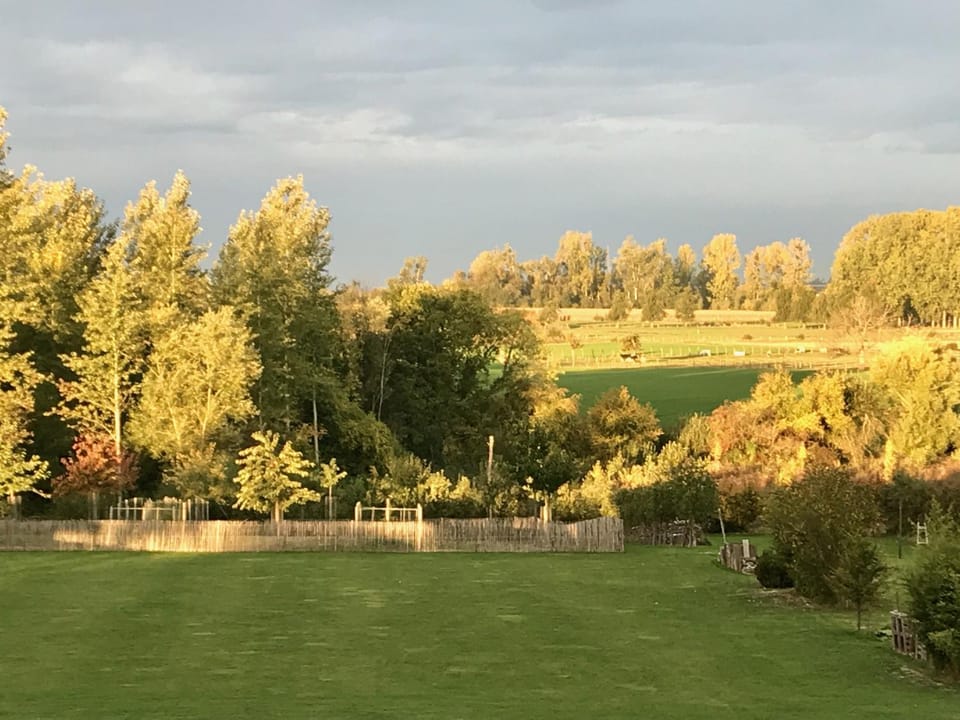 Garden, Garden, View (from property/room), View (from property/room), Garden view, Garden view