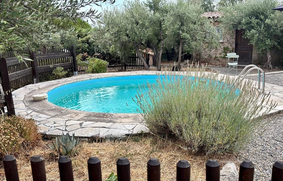 Garden, Swimming pool