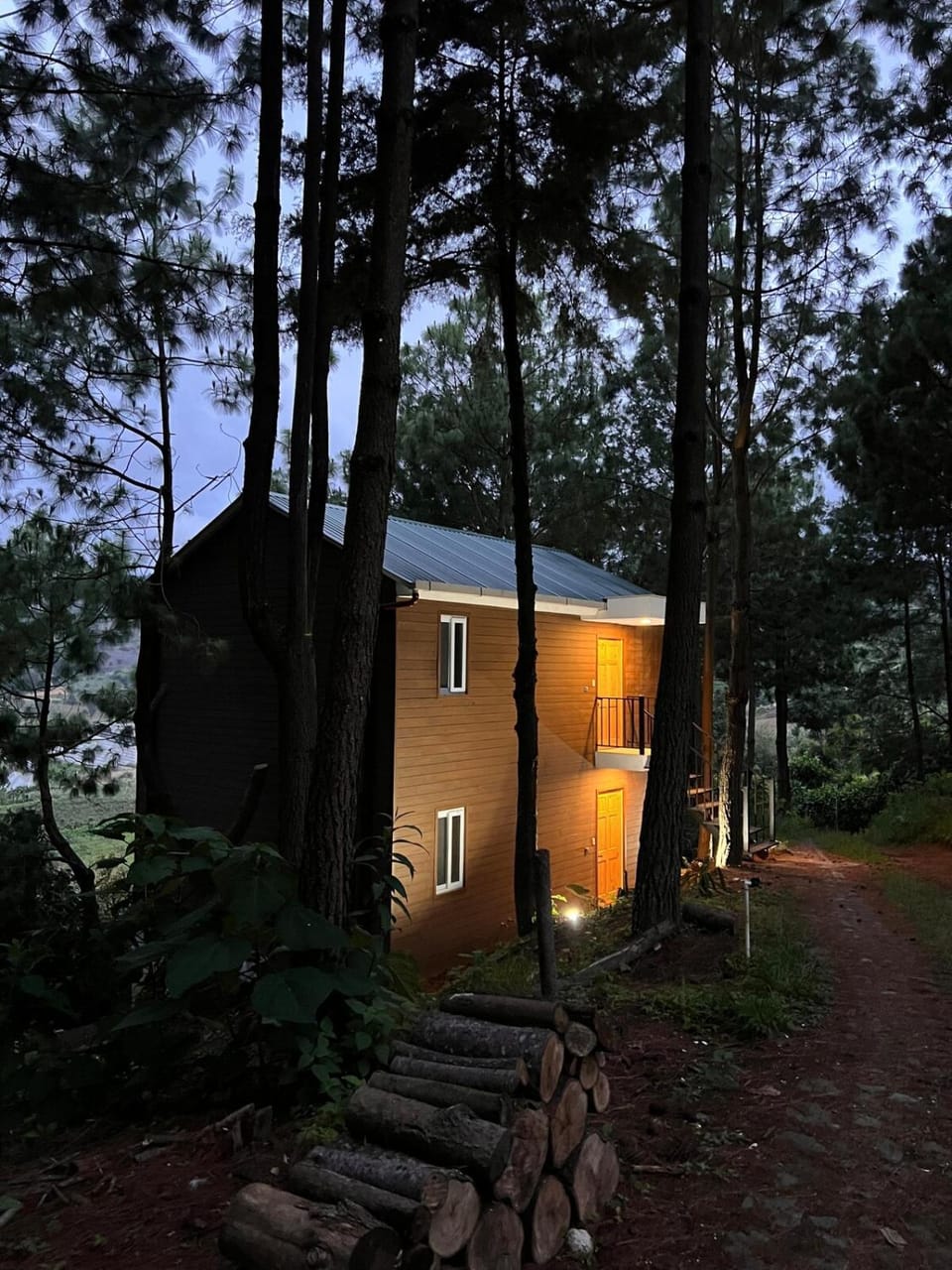 Night, Natural landscape