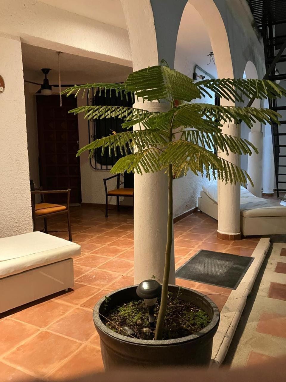 Villa Mille Kiddo S1 Apartment in Cancun