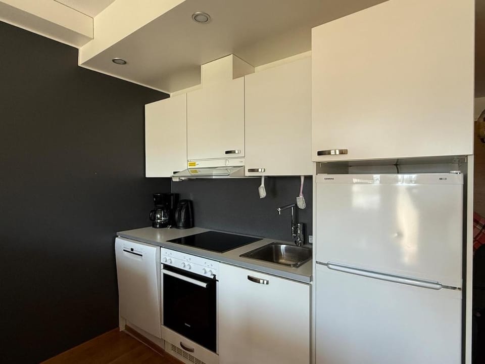 Kitchen or kitchenette, dishwasher, oven
