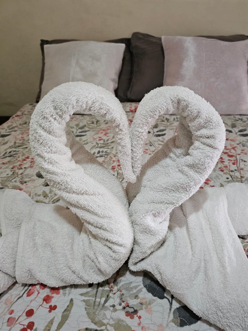 CreaDora Bed and Breakfast in Chiriquí Province
