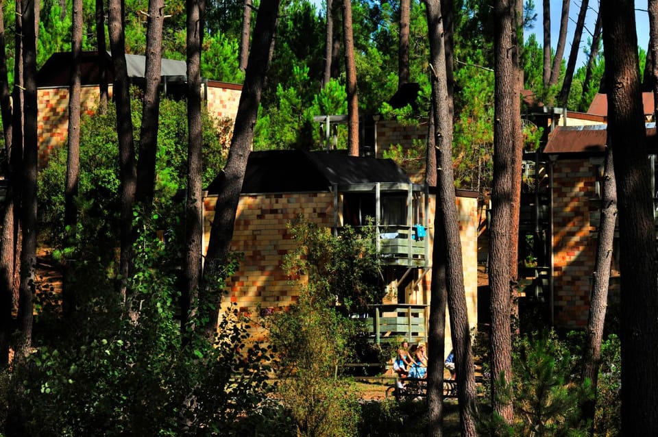 Natural landscape, Photo of the whole room, Garden view