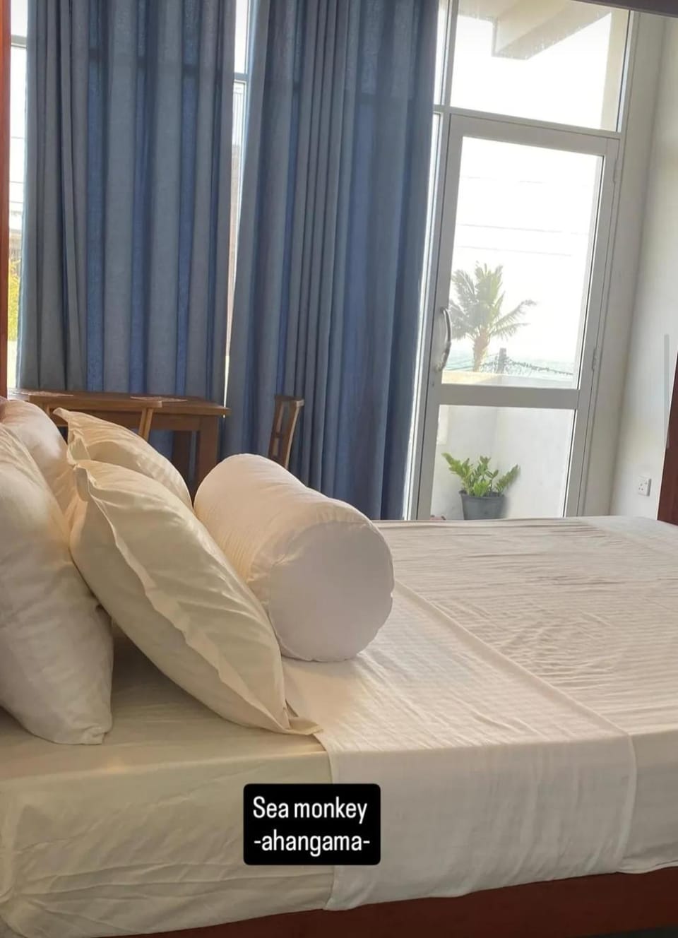 Sea monkey Bed and Breakfast in Ahangama