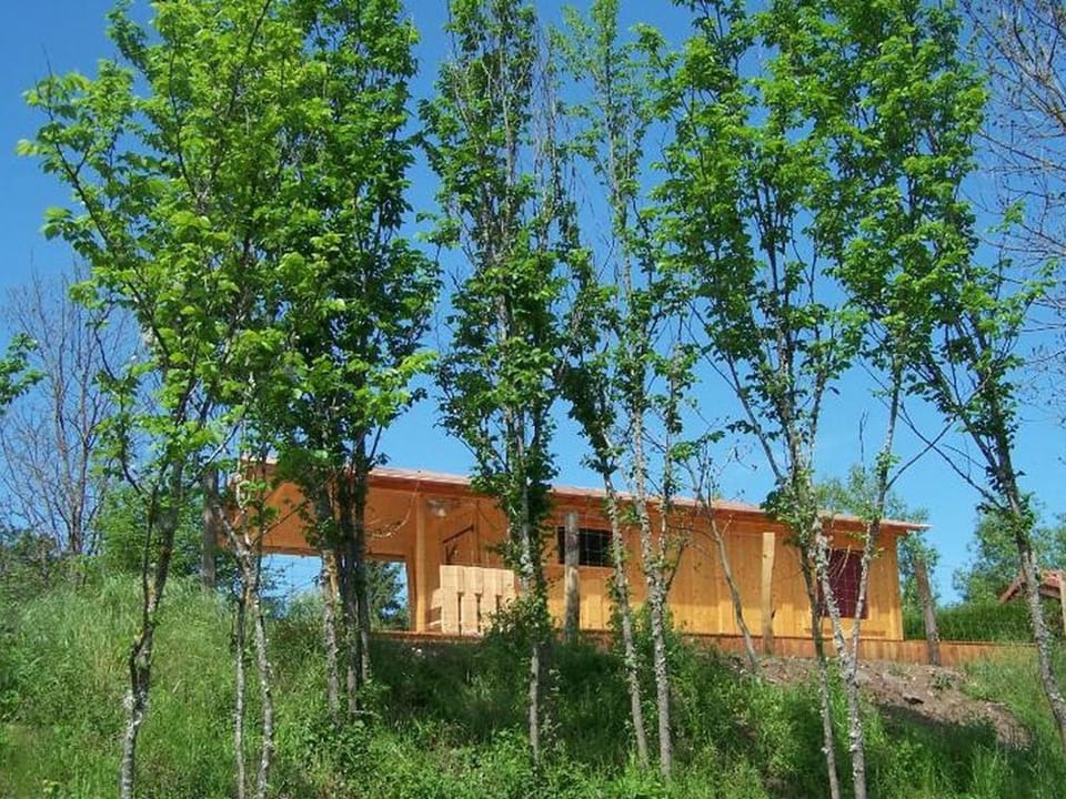 Cabane accueillant chiens - 4 pers. - API-1-52-2996 Campground/ 
RV Resort in Auvergne-Rhône-Alpes