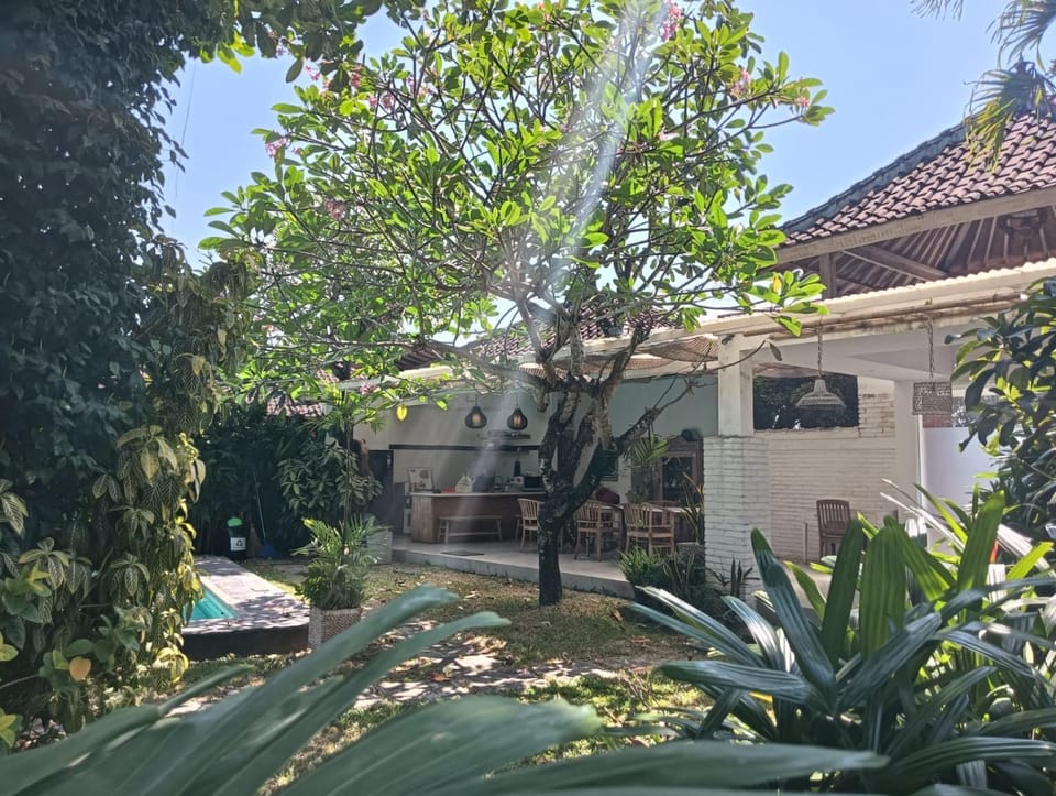 Property building, Garden