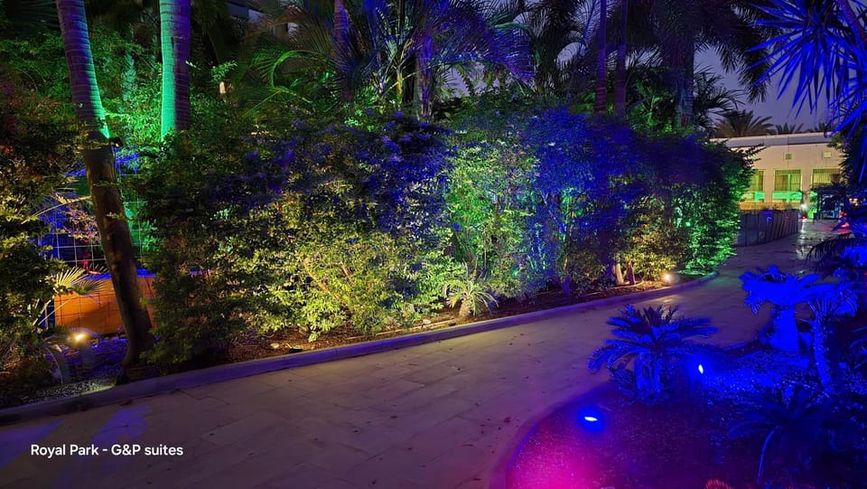 Night, Natural landscape, Garden, Garden view