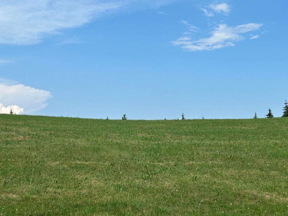Natural landscape