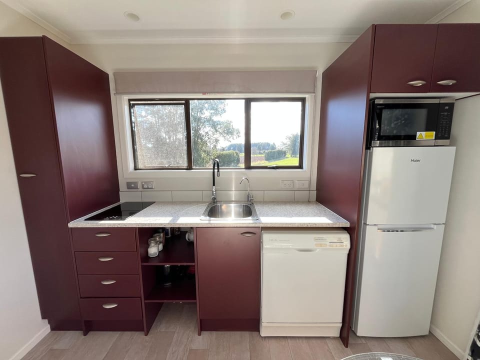 Kitchen or kitchenette, dishwasher, stove