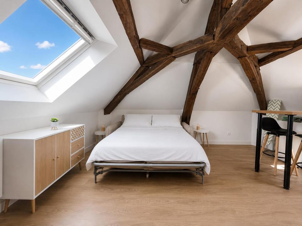 Charmant studio cosy a deux pas du centre-ville - 2 pers Apartment in Angers