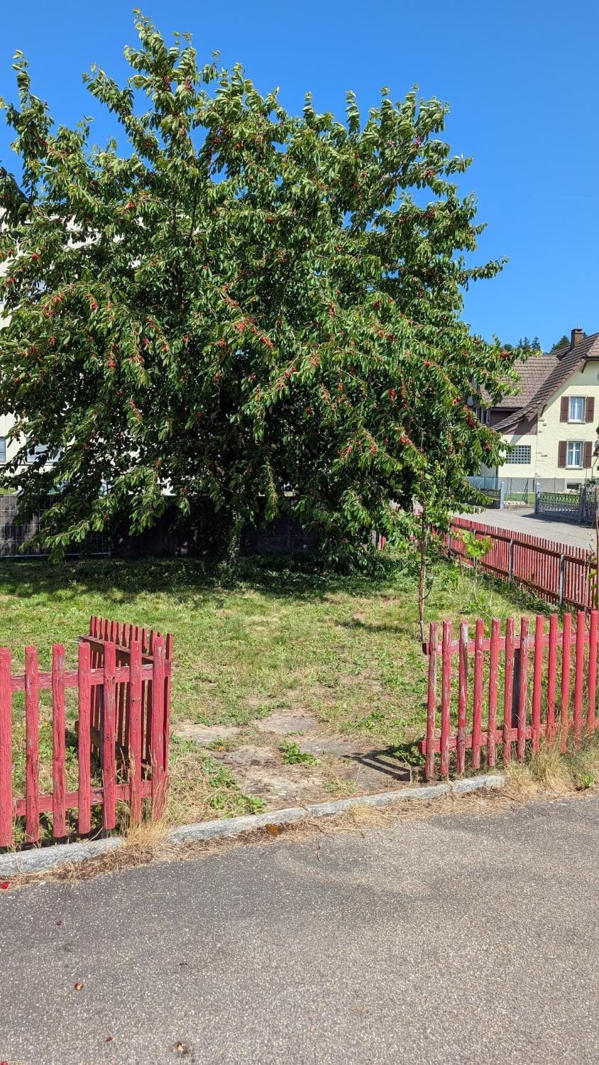 Garden, Garden