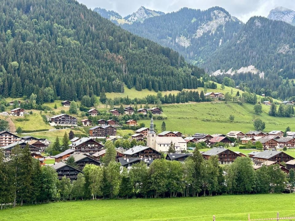 Cozy studio with mountain view Apartment in Châtel