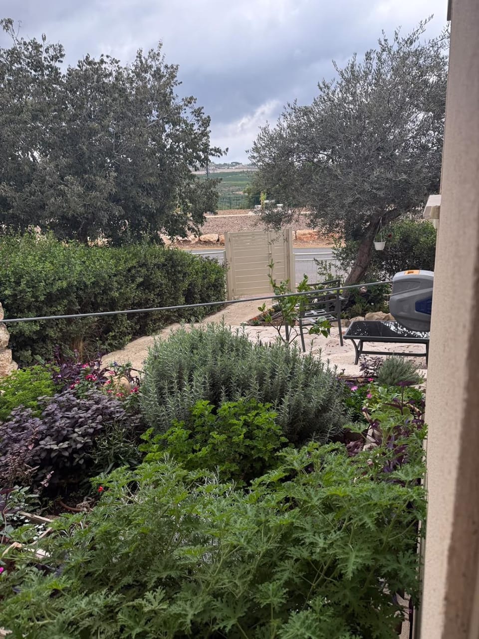 Garden view