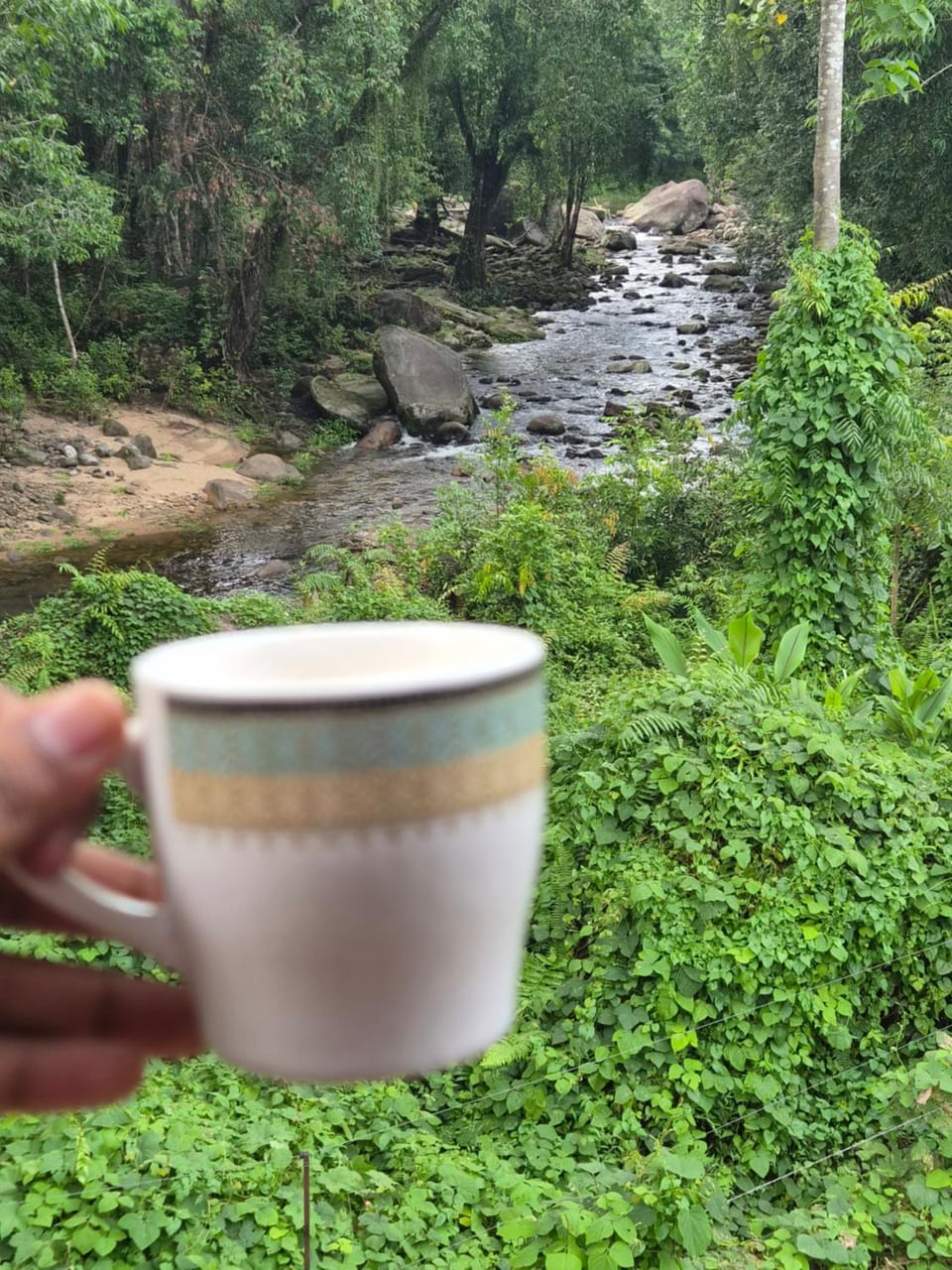 Natural landscape, River view