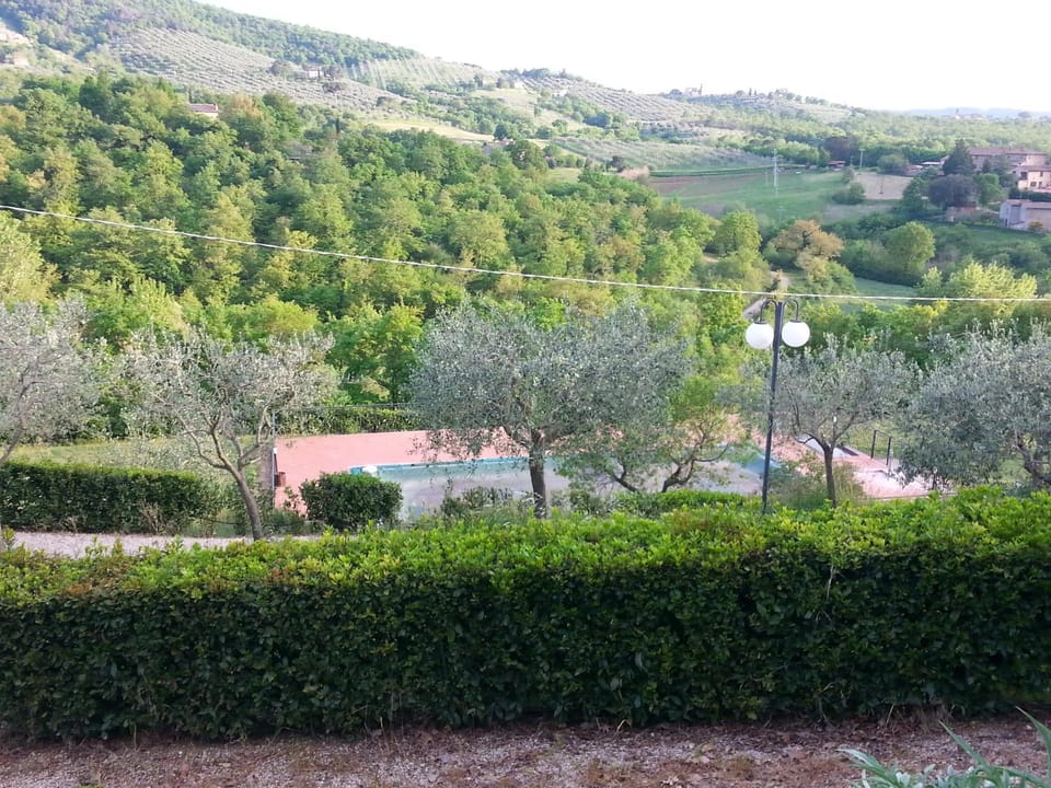 Natural landscape