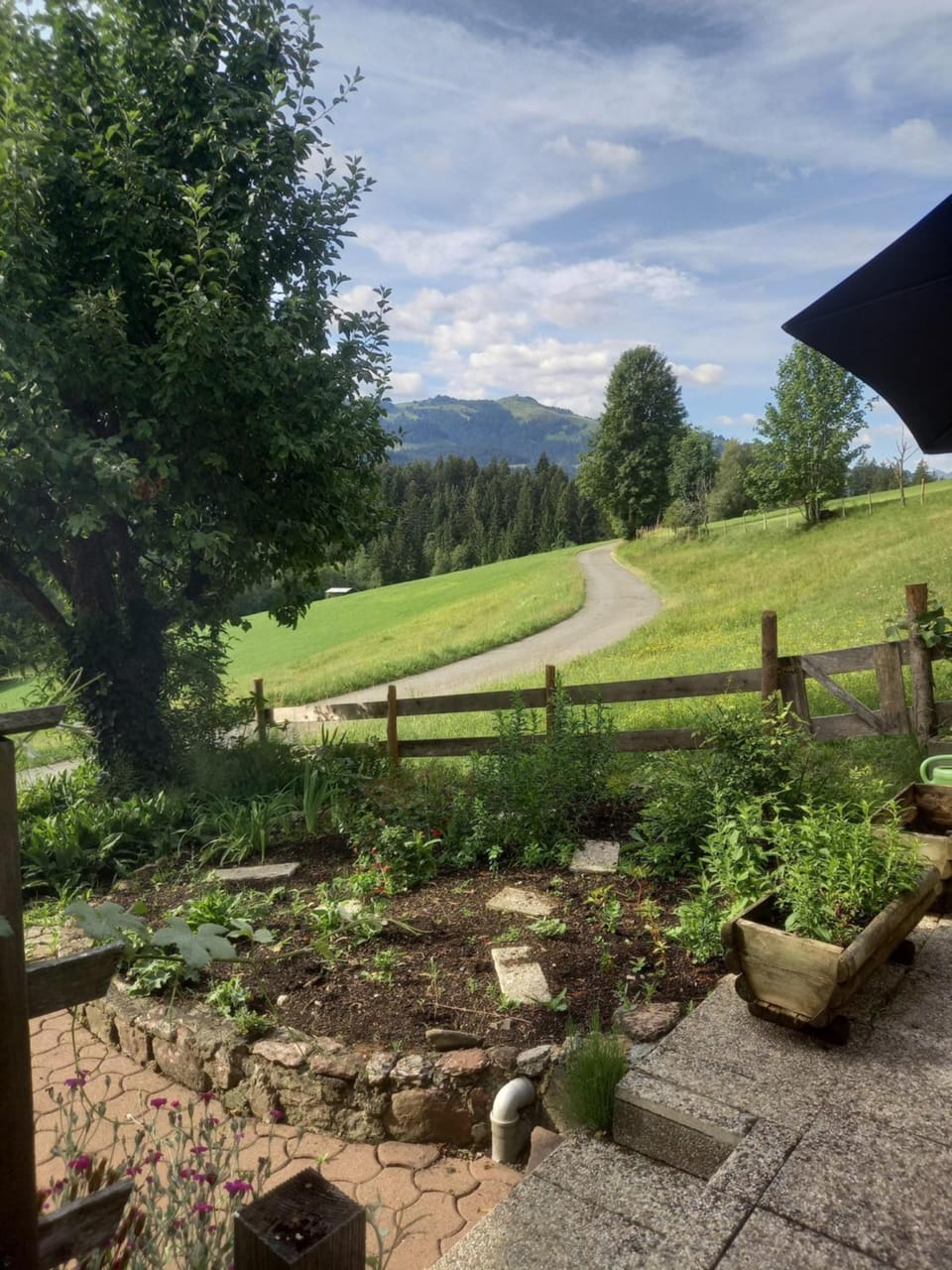 Day, Natural landscape, Garden, Mountain view