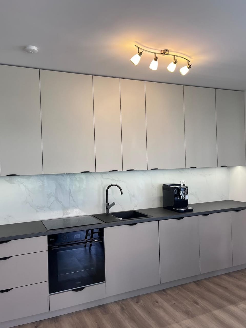Kitchen or kitchenette, dishwasher, stove
