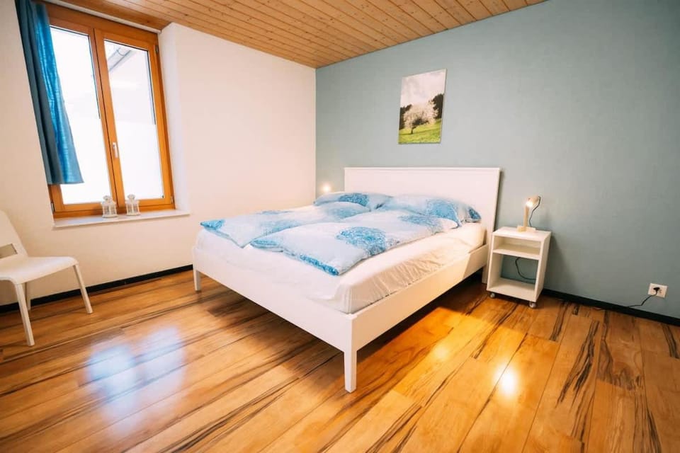 Cozy Apartment in Centre of Meiringen Apartment in Canton of Bern (Region)