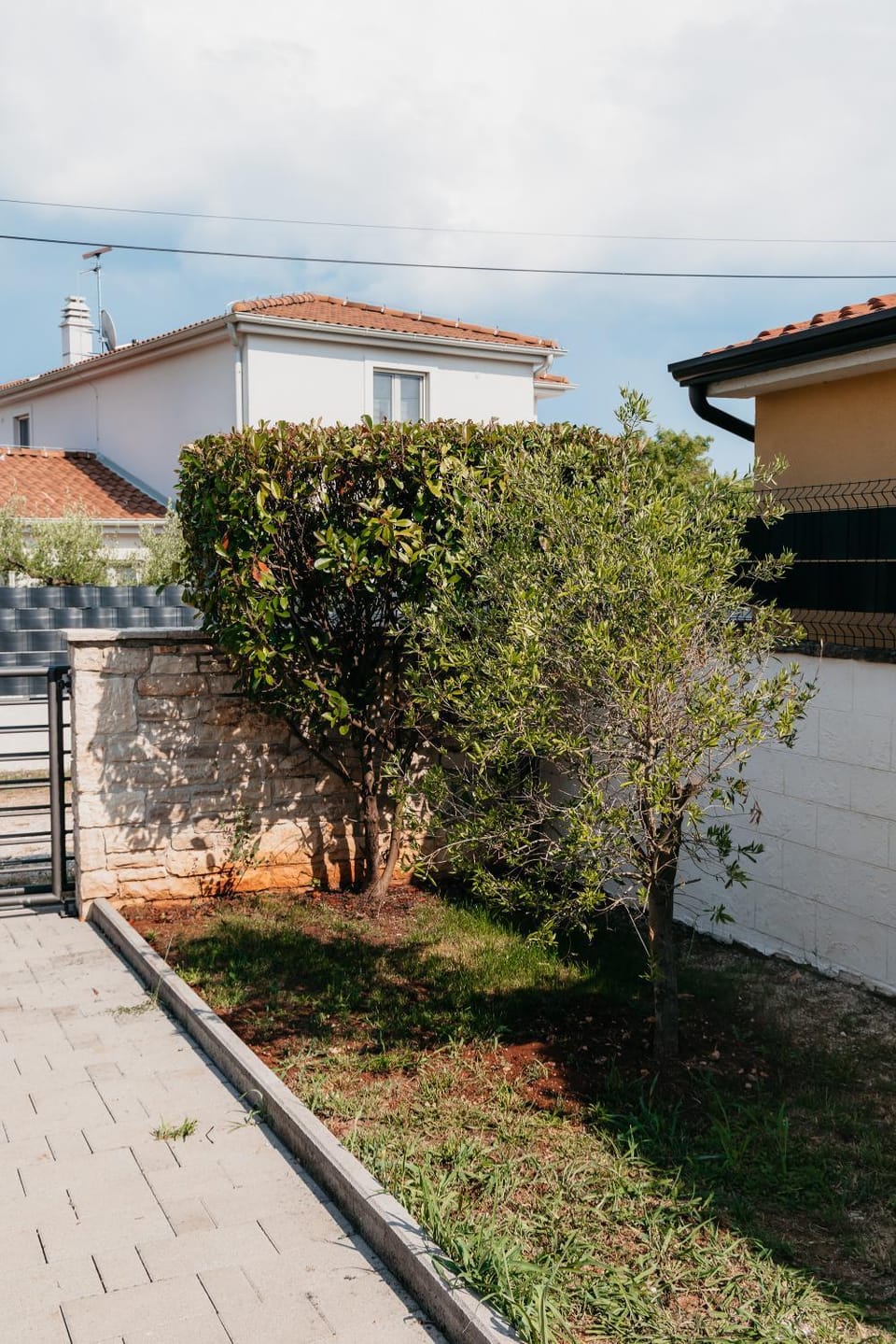 Day, Natural landscape, Garden, Garden view