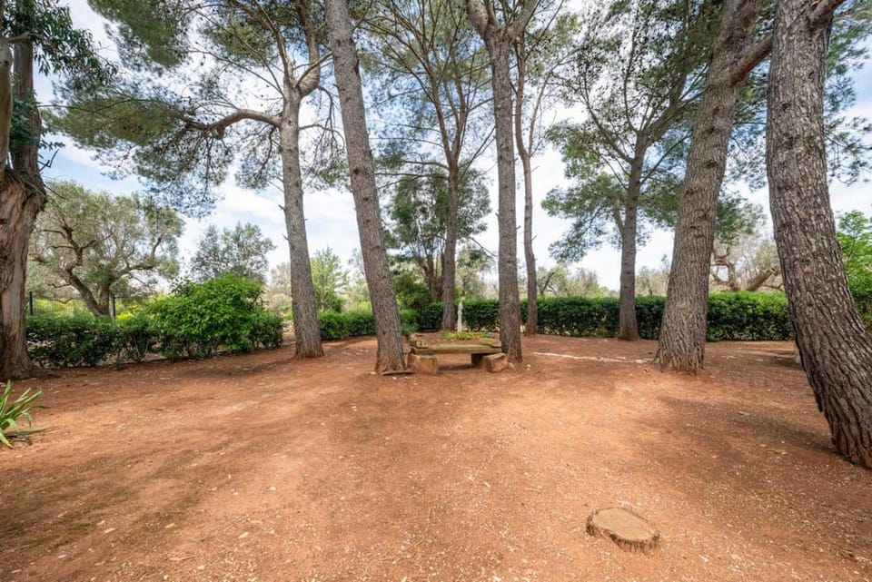 Spring, Day, Natural landscape, Garden, Garden view