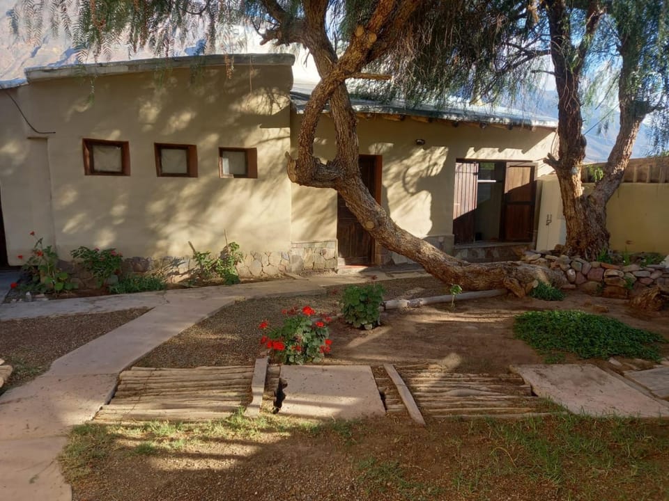 Garden, Garden