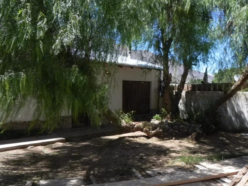 Garden view, Inner courtyard view