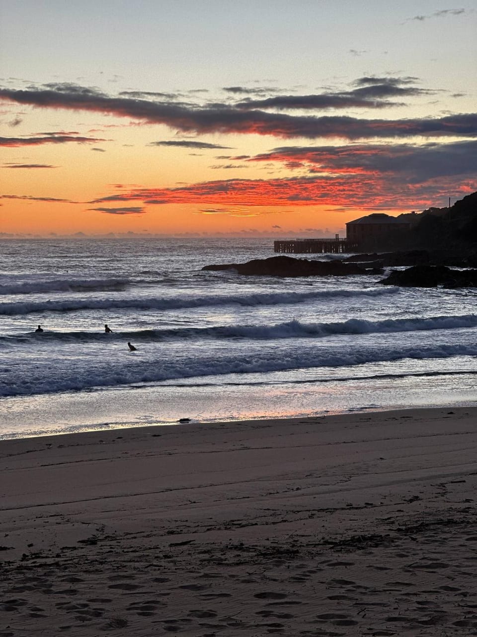 Natural landscape, Beach, Animals, Pets, Sunset