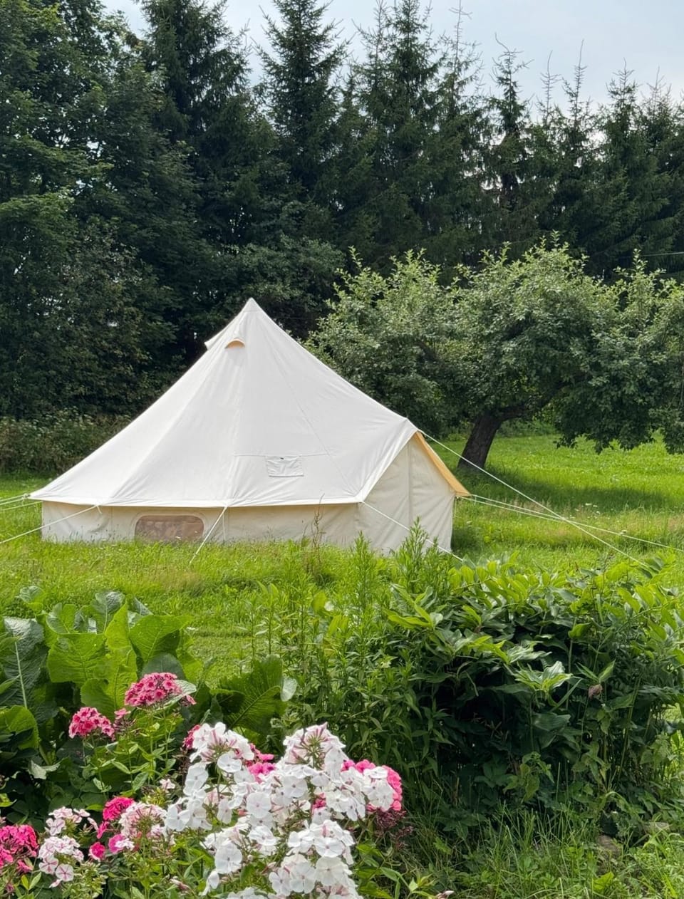 Day, Garden, Garden view